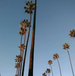 Meet your Posher, Isabella